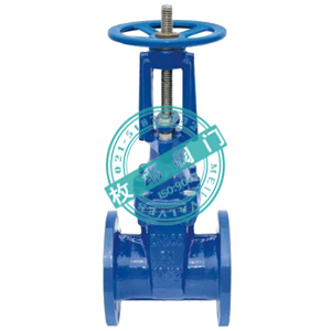 軟密封明桿彈性座封閘閥Z41X,RRHX 上海枚耶閥門(mén) www.famen163.com圖片_高清圖_細(xì)節(jié)圖-上海枚耶閥門(mén) -