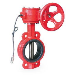 消防管道閥門(mén)必須采用經(jīng)消防認(rèn)證的產(chǎn)品